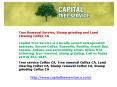 Tree Removal Service, Stump grinding and Land Clearing Colfax CA PowerPoint PPT Presentation