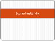 Equine Husbandry