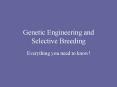 Genetic Engineering and Selective Breeding PowerPoint PPT Presentation