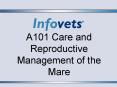 A101 Care and Reproductive Management of the Mare PowerPoint PPT Presentation