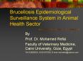 Brucellosis Epidemiological Surveillance System in Animal Health Sector PowerPoint PPT Presentation