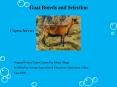 Goat Breeds and Selection PowerPoint PPT Presentation