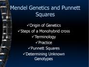 Mendel Genetics and Punnett Squares