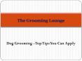 Dog Grooming - Top Tips You Can Apply PowerPoint PPT Presentation
