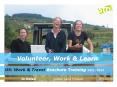 Volunteer, Work PowerPoint PPT Presentation