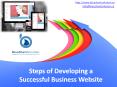 Steps of developing a successful business website: PowerPoint PPT Presentation
