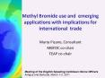Methyl Bromide use and emerging applications with implications for international trade PowerPoint PPT Presentation