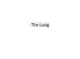 The Lung PowerPoint PPT Presentation