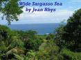 Wide Sargasso Sea by Jean Rhys PowerPoint PPT Presentation