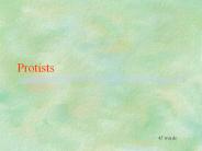 Protists