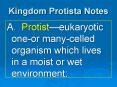 Kingdom Protista Notes PowerPoint PPT Presentation
