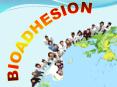 BIOADHESION PowerPoint PPT Presentation
