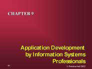 Application Development by Information Systems Professionals