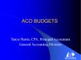 ACO BUDGETS PowerPoint PPT Presentation