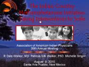The Indian Country Methamphetamine Initiative: Taking Interventions to Scale