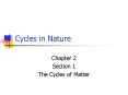 Cycles in Nature PowerPoint PPT Presentation