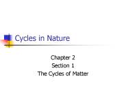 Cycles in Nature