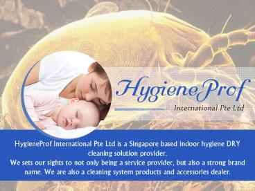 Rugs Cleaning Services