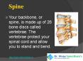 spine|dr vinay sarvotham spine care specialist PowerPoint PPT Presentation