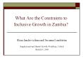 What Are the Constraints to Inclusive Growth in Zambia? PowerPoint PPT Presentation