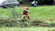 Dog Kennel Training