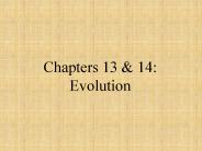 Chapters 13