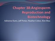 Chapter 38:Angiosperm Reproduction and Biotechnology