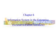Chapter 6 Information System in the Enterprise (????????????????????)