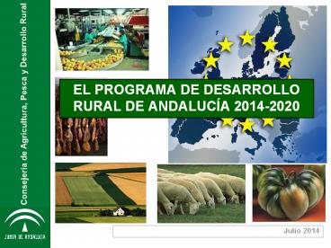 EL PROGRAMA DE DESARROLLO RURAL DE ANDALUC