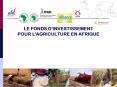 LE FONDS D'INVESTISSEMENT POUR L'AGRICULTURE EN AFRIQUE PowerPoint PPT Presentation