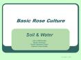 Basic Rose Culture PowerPoint PPT Presentation