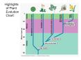 Highlights of Plant Evolution Chart: PowerPoint PPT Presentation