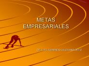 METAS EMPRESARIALES