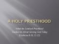 A Holy Priesthood PowerPoint PPT Presentation
