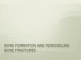 Bone Formation and Remodeling bone fractures PowerPoint PPT Presentation