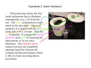 Experiment 3. Bomb Calorimetry