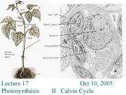 Lecture 17 Oct 10, 2005