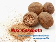 Nux moschata