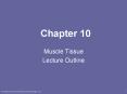 Muscle Tissue PowerPoint PPT Presentation