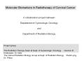 Molecular Biomarkers in Radiotherapy of Cervical Cancer PowerPoint PPT Presentation