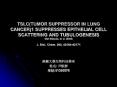 TSLC(TUMOR SUPPRESSOR IN LUNG CANCER)1 SUPPRESSES EPITHELIAL CELL SCATTERING AND TUBULOGENESIS Mari Masuda, et. al. (2005) J. Biol. Chem. 280, 42164-42171 PowerPoint PPT Presentation