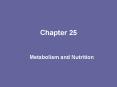 Metabolism and Nutrition PowerPoint PPT Presentation