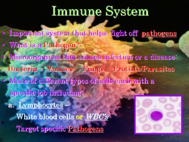 Immune System