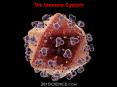 The Immune System PowerPoint PPT Presentation