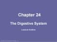 The Digestive System PowerPoint PPT Presentation