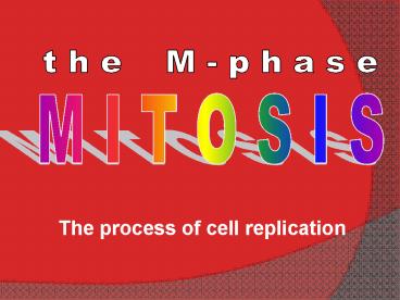 M I T O S I S