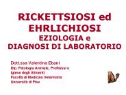 RICKETTSIOSI ed EHRLICHIOSI EZIOLOGIA e DIAGNOSI DI LABORATORIO