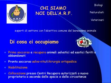 Di cosa ci occupiamo