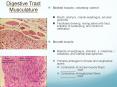 Digestive Tract Musculature PowerPoint PPT Presentation