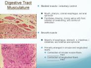 Digestive Tract Musculature